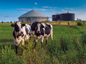 Stationäre Methan-Gaswarnanlage PolyXeta®2 von MSR-Electronic für die sichere Methangas-Überwachung