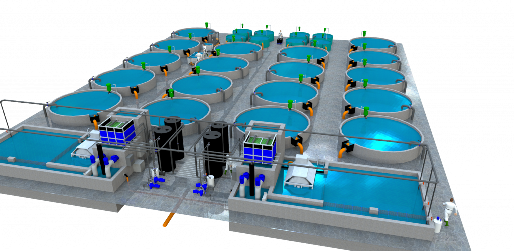 Reliable ozone and oxygen gas monitoring in aquaculture systems MSR