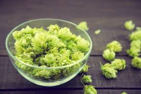 Raw hops in a bowl